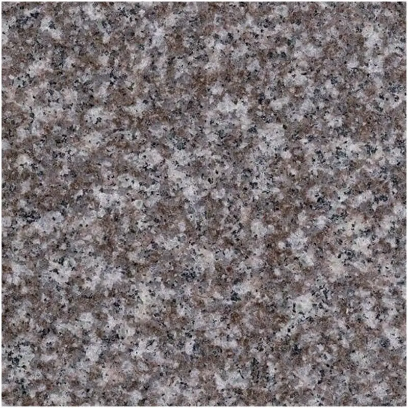 Old G664 Granite Polished Surface Detailed Texture Close-up Photo Old G664 Pink Brown Grey Granite Polished Slab Texture Natural Speckled Granite Stone Surface for Countertop Stair Window Sill