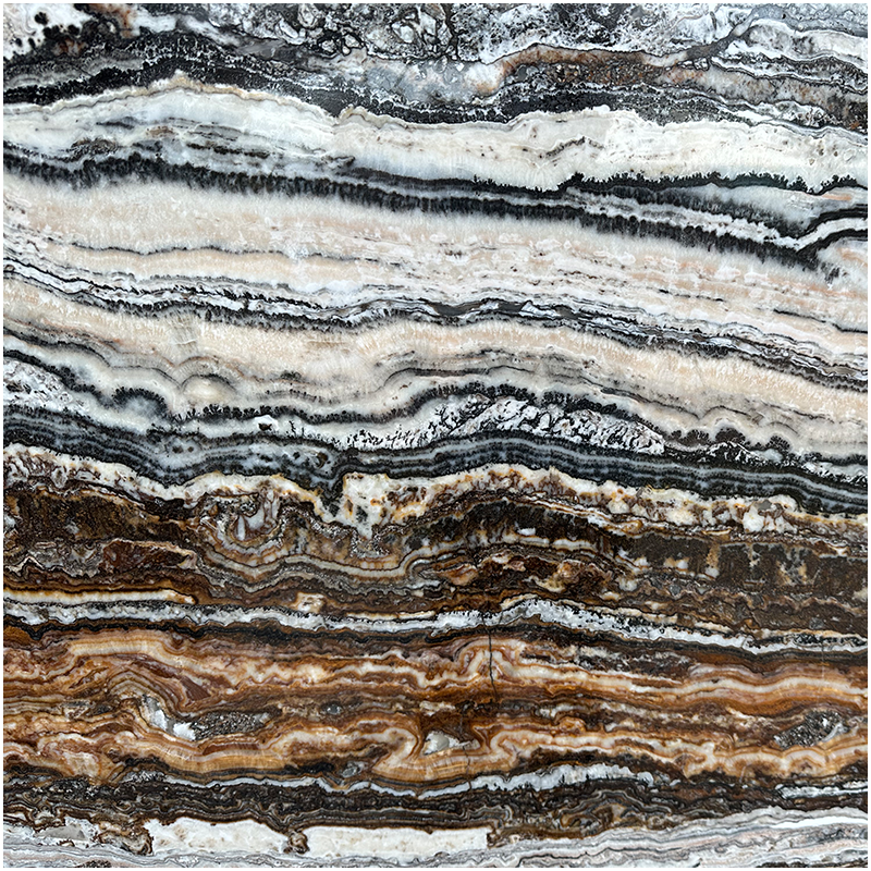 Jurassic Traonyx Stone