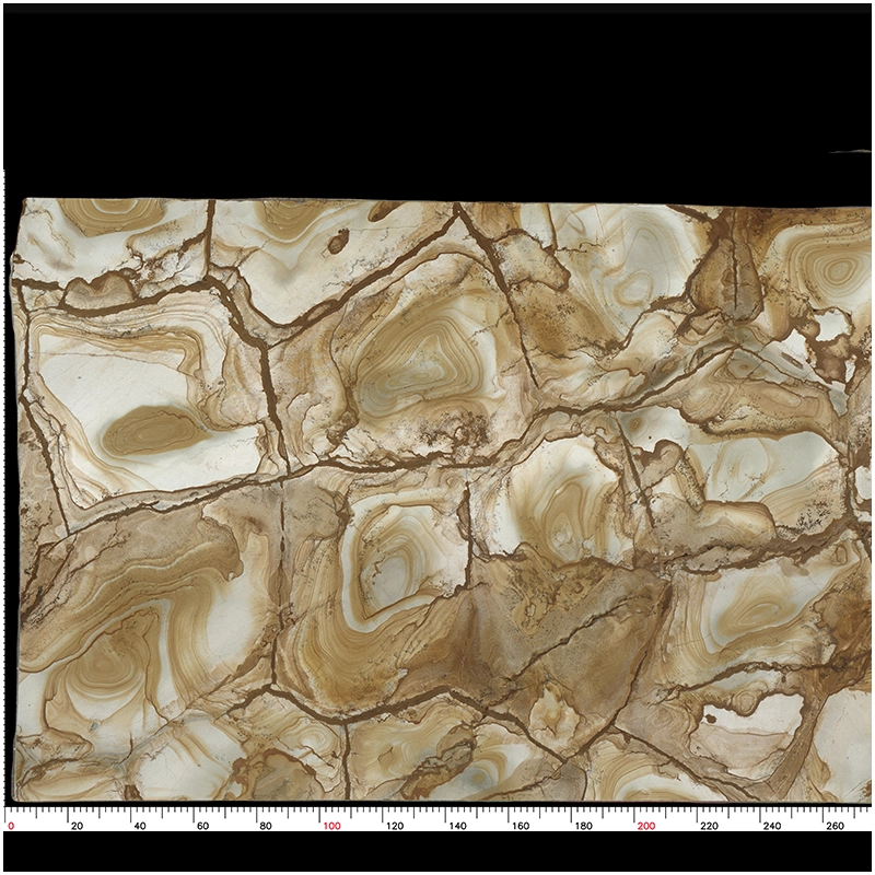 Brazilian Golden Palomino Quartzite