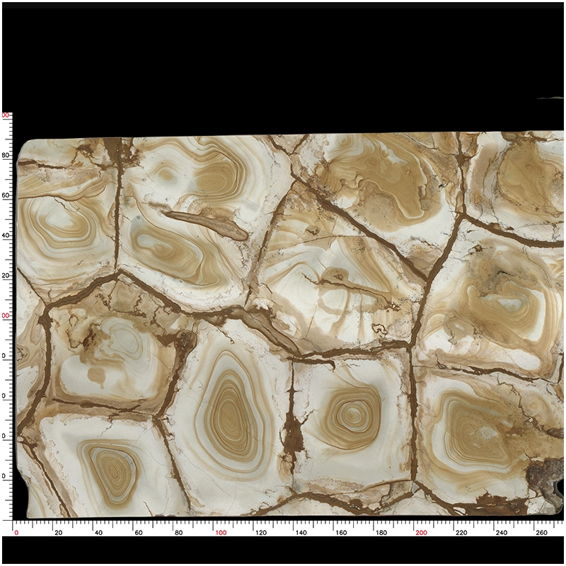 Palomino Quartzite Slab